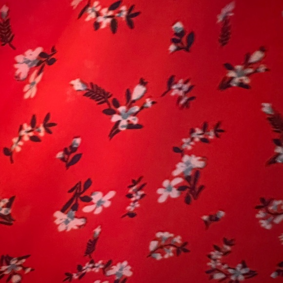 Cute Red Dress with Floral print and buttons down the middle - Picture 4 of 4